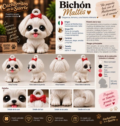 Ficha original de Bichón Maltés