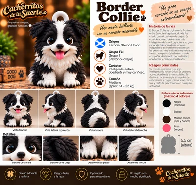 Ficha original de Border Collie