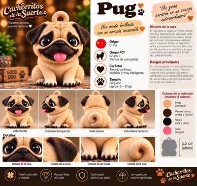 Ficha original de Pug